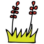flower_2
